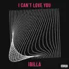 I Cant Love You - Single album lyrics, reviews, download