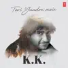 Teri Yaadon Mein - K.K. album lyrics, reviews, download