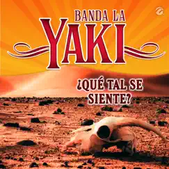 ¿Qué Tal Se Siente? - Single by Banda La Yaki album reviews, ratings, credits