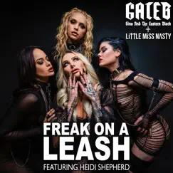 Freak on a Leash - Single (feat. heidi shepherd) - Single by Gina And The Eastern Block & Little Miss Nasty album reviews, ratings, credits