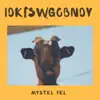 I.D.K.F.S.W.G.O.B.N.D.Y. - Single album lyrics, reviews, download