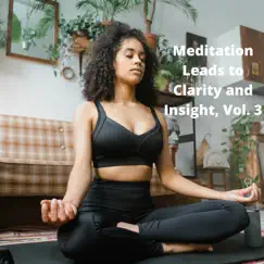 Meditation Leads to Clarity and Insight, Vol. 3 by Various Artists album reviews, ratings, credits
