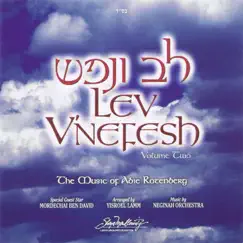 Lev V'nefesh, Vol. 2 by Abie Rotenberg album reviews, ratings, credits