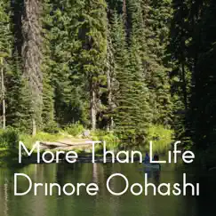 More Than Life by Drinore Oohashi album reviews, ratings, credits