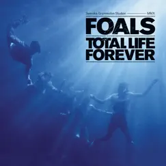 Total Life Forever by Foals album reviews, ratings, credits