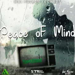 Peace of Mind - Single by Spechinal album reviews, ratings, credits
