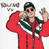 Young VL (feat. Dipvigarista) - Single album lyrics, reviews, download