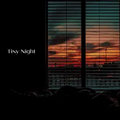 Tiny Night (feat. BIOTOP) Song Lyrics