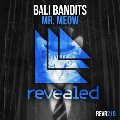Mr. Meow (Extended Mix) Song Lyrics