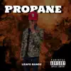 Propane (Propain) - Single album lyrics, reviews, download