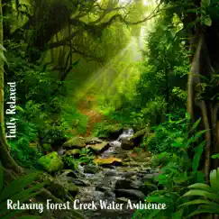 Fully Relaxed: Relaxing Forest Creek Water Ambience by Steve Brassel album reviews, ratings, credits