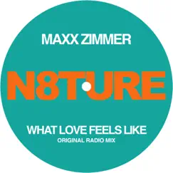 What Love Feels Like - Single by Maxx Zimmer album reviews, ratings, credits