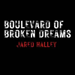 Boulevard of Broken Dreams (Acapella Version) Song Lyrics