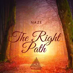 The Right Path - Single by Naze album reviews, ratings, credits