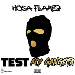 Test My Gangsta Song Lyrics