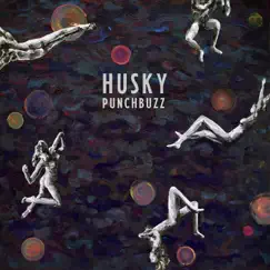 Splinters In The Fire - Single by Husky album reviews, ratings, credits