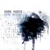 Dark Horse - Single album lyrics, reviews, download