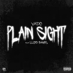 Plain Sight - Single by Vado & Lloyd Banks album reviews, ratings, credits
