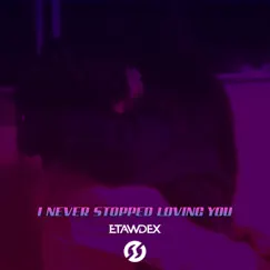 I Never Stopped Loving You (Radio Edit) Song Lyrics