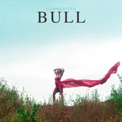 Bull (Radio Edit) Song Lyrics