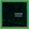 Curcuma - Hip Hop Instrumental (feat. Fidel Ten & Тимур Басов) - Single album lyrics, reviews, download