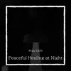 Peaceful Healing at Night album lyrics, reviews, download