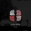 Funct!On - Single album lyrics, reviews, download