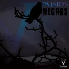 Pájaros Negros by Vertebral Ent album reviews, ratings, credits