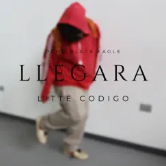 Llegara Song Lyrics