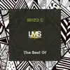 The Best of Senzo C album lyrics, reviews, download