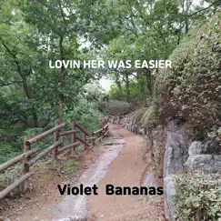 Lovin Her Was Easier - Single by Violet Bananas album reviews, ratings, credits