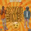 Is You Dumb? (feat. Raine) album lyrics, reviews, download