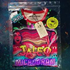 Microgram - Single by Jaleo album reviews, ratings, credits