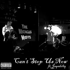 Can't Stop Us Now (feat. Jaqadeliq) - Single by The Michigan Misfits album reviews, ratings, credits