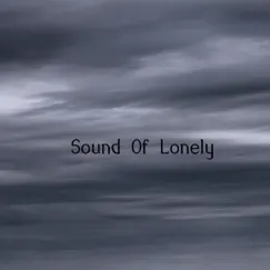 Sound of Lonley - Single by 호사 album reviews, ratings, credits