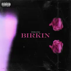 Birkin Song Lyrics