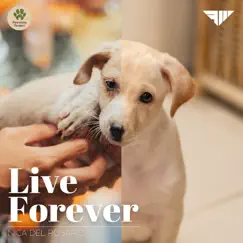 Live Forever - Single by Nica del Rosario album reviews, ratings, credits
