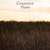 Plains - Single album lyrics, reviews, download