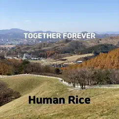 Together Forever - Single by Human Rice album reviews, ratings, credits