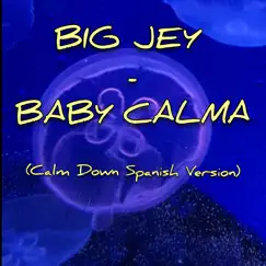Baby Calma (Calm Down - Spanish Version) Song Lyrics