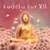 Buddha Bar XII album lyrics, reviews, download