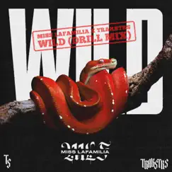 Wild (Trakstrs Remix) Song Lyrics