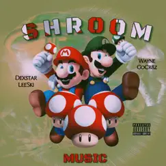 Super Mario Bros Song Lyrics