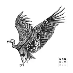 Argentavis - EP by Nonsemble album reviews, ratings, credits