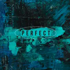 Perfect (Cover Rock Style) - Single by Liz Luna album reviews, ratings, credits