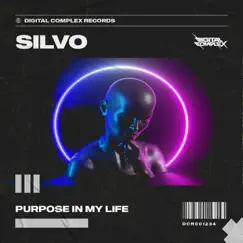 Purpose in My Life - Single by Silvo album reviews, ratings, credits