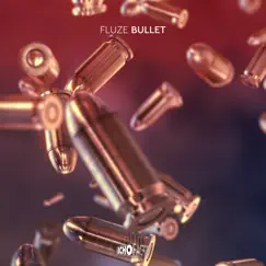 Bullet Song Lyrics