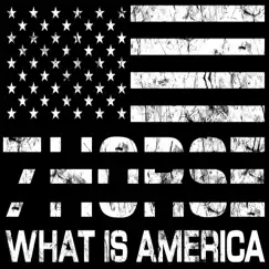 What Is America - Single by 7Horse album reviews, ratings, credits