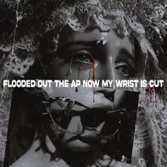 Flooded Out the AP Now My Wrist Is Cut - Single by Nik $ix album reviews, ratings, credits