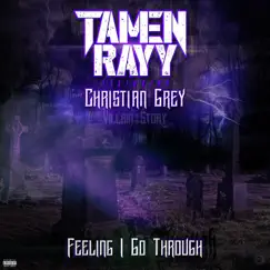 Feeling I Go Through - Single by Tamen Rayy album reviews, ratings, credits